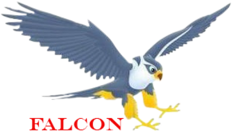 Falcon Kitchen Solution