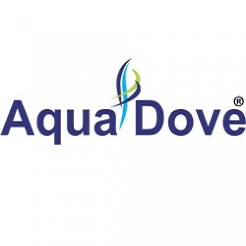 Aqua Dove