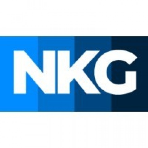 NKG Advisory, Business & Consulting Pvt Ltd.