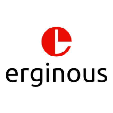 Erginous