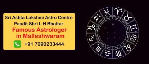 Best Astrologer in Malleshwaram | Famous Top Astrologer Malleshwaram |
