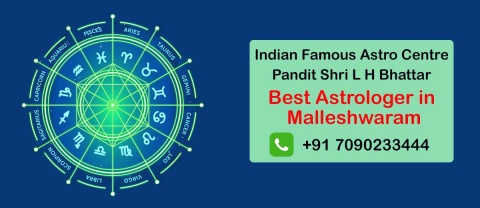 Best Astrologer in Malleshwaram | Famous Top Astrologer Malleshwaram |