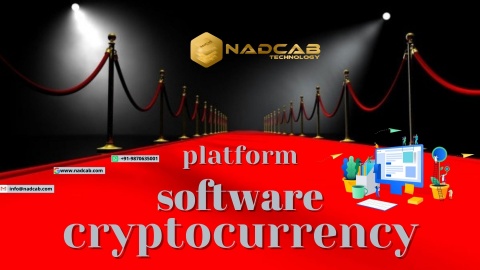 Cryptocurrency Software Platform Development
