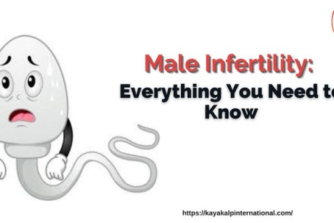 Infertility Treatment Clinic in India | Male Infertility Treatment in Mumbai