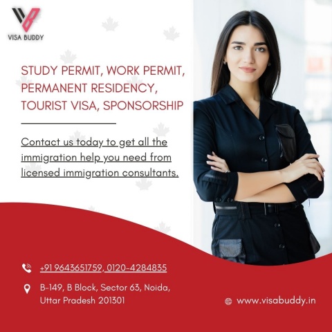 Best PR Visa Consultants | Visa Buddy