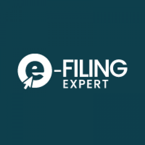 E-filing Expert