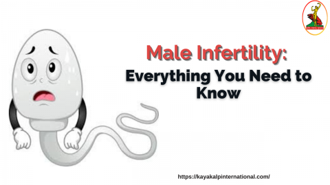 Unknown Facts about Male Infertility | Male Infertility Treatment in Mumbai Kayakalpinternational