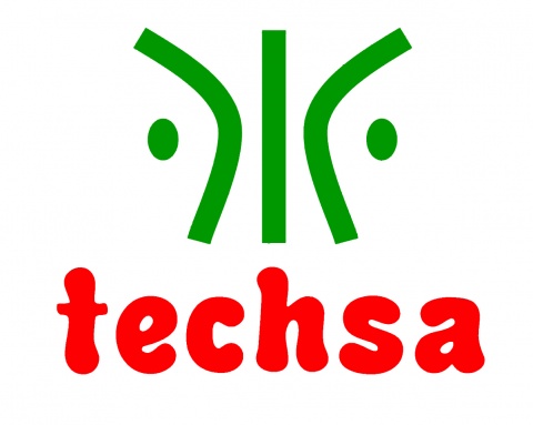 Techsa Services