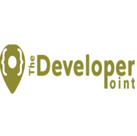 The Developer Point