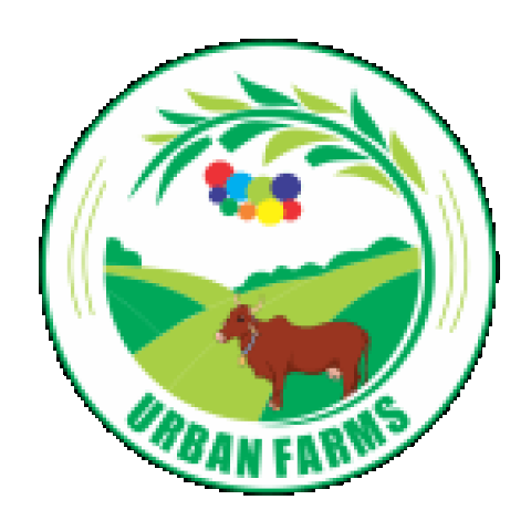 Urban farms milk