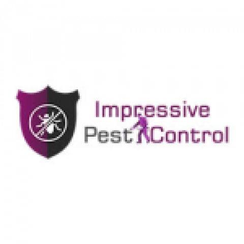 Pest Control sydney