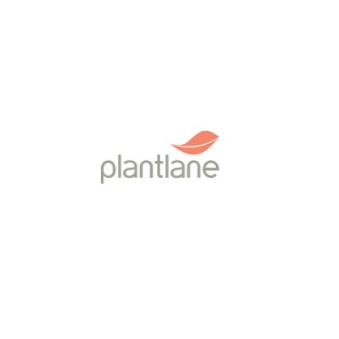 PLANTLANE RETAIL PRIVATE LIMITED