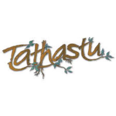 TATHASTU – A Truly Luxury Jungle Resort