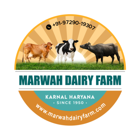 Marwah Dairy Farm