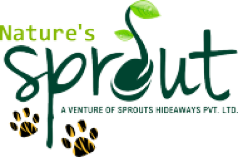 Hotel Booking Satpura | Satpura Hotel Booking - Nature's Sprout