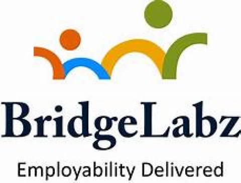 bridgelabz