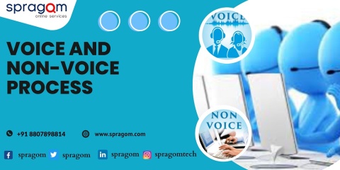 Voice and Non-Voice Process  - Spragom