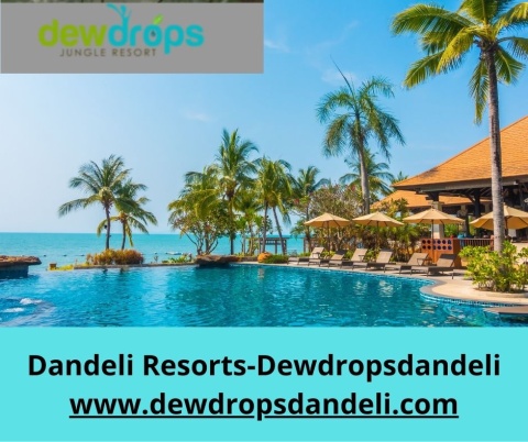 Dew Drops Dandeli — Where Nature Meets Adventure