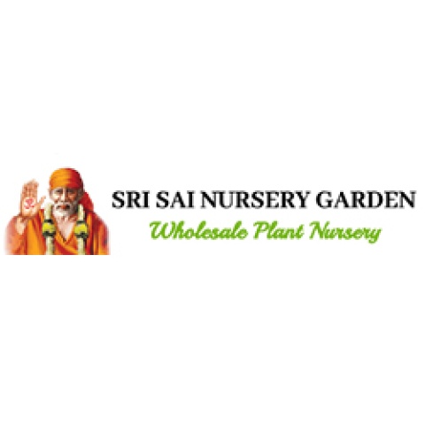 Sri Sai Nursery Garden