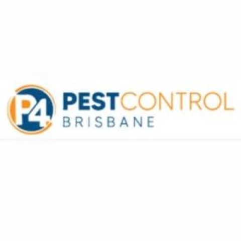 Borer Pest Control Brisbane