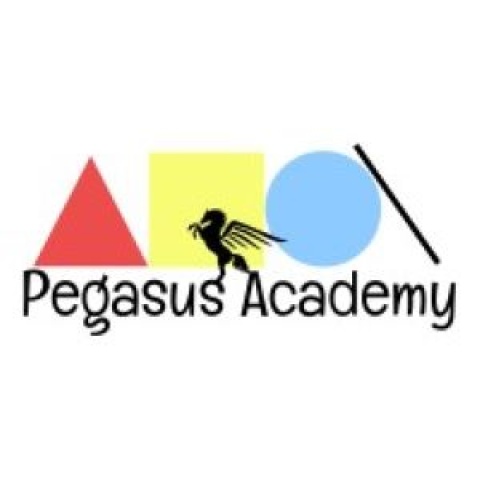 Pegasus Academy