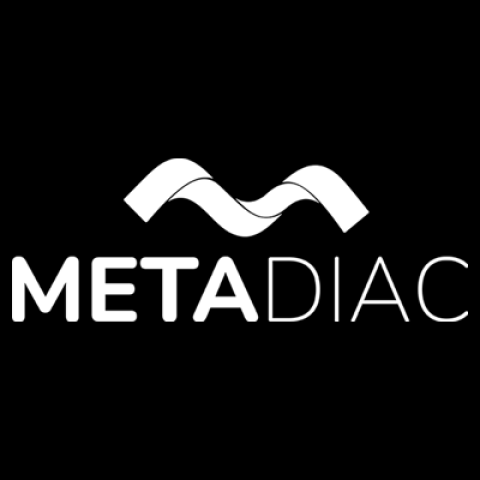 Metadiac - Top Rated Blockchain Development Company