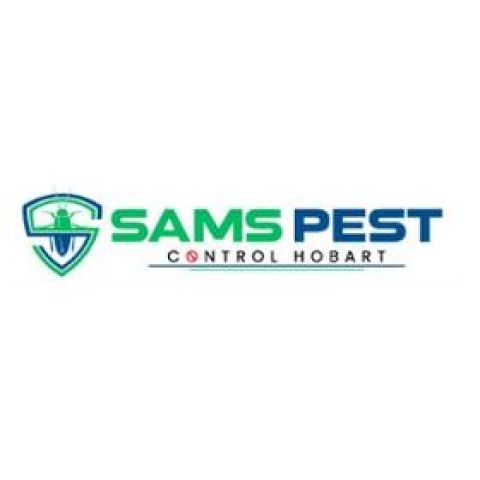Pest Inspections & Termite Control Hobart