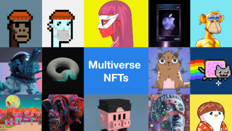 NFT Multiverse Platform Development - A perfect revenue-generating business solution