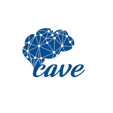 Braincave Learning Hub