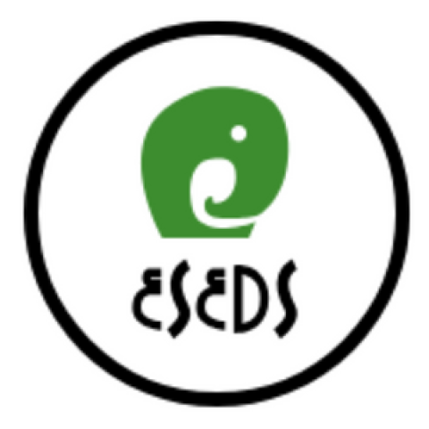 ESEDS School Of Design