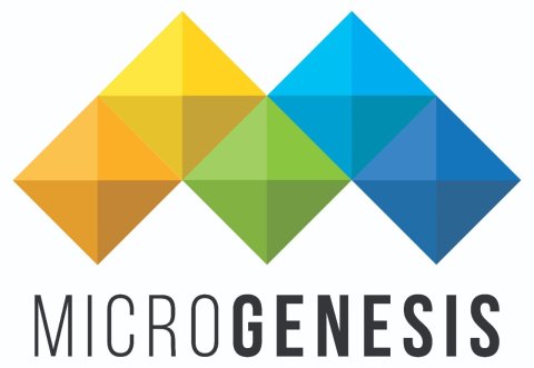 Microgenesis Techsoft Pvt Ltd