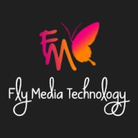 Flymedia Technology | Website Development in Punjab
