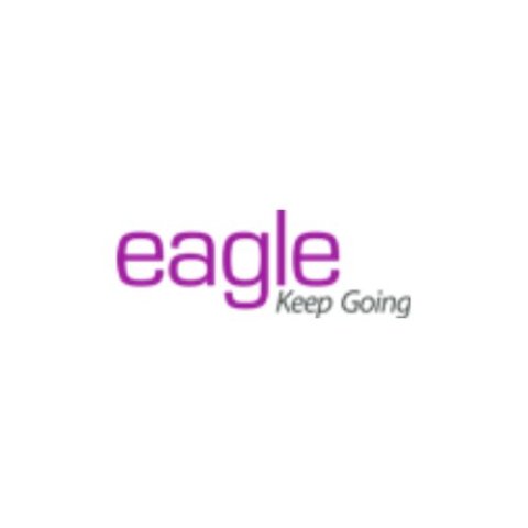 Eagle Information Systems Pvt. Ltd