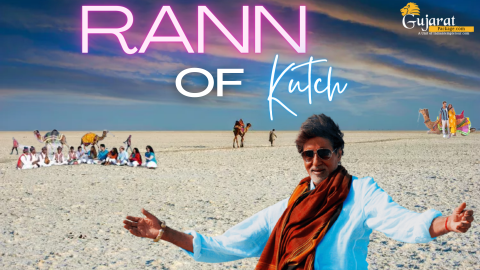 Unveiling the Magic of Rann of Kutch: A Complete Travel Guide