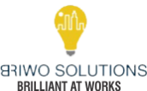 BRIWO SOLUTIONS PVT LTD