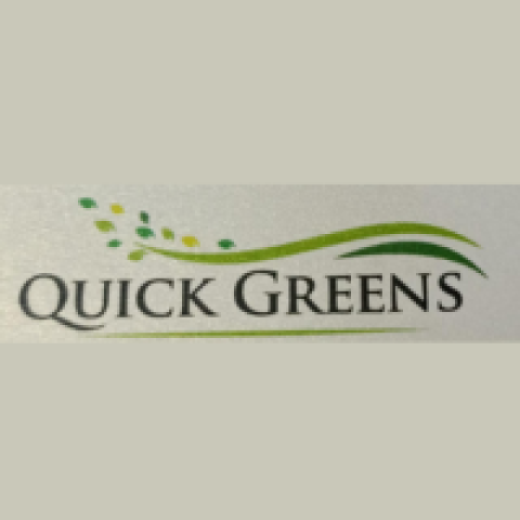 Quick Greens