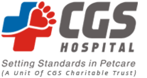 Pet Hospital in Delhi NCR | CGS Hospital