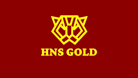 HNS Gold: Best Gold Buyers in Kolkata | Park Street Area