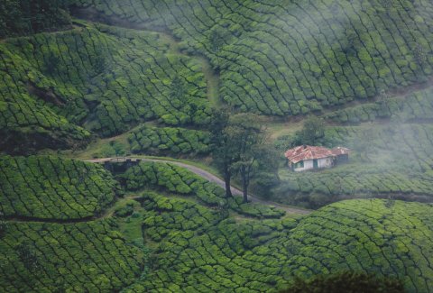 Kerala Honeymoon Packages from Mumbai By Seasonz India Holidays