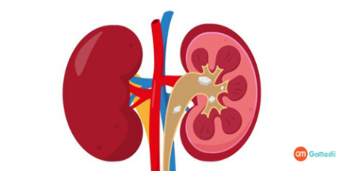 Kidney Treatment Hospital in India