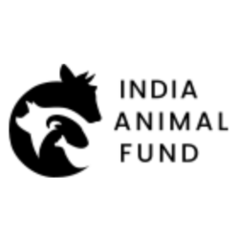 India Animal Fund