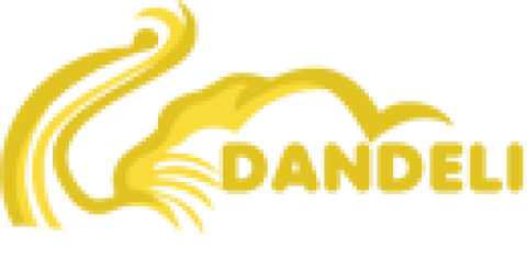 Jungle Resort Dandeli