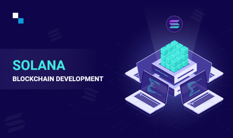 Get Quality-driven Solana Blockchain Development Services Only at Antier