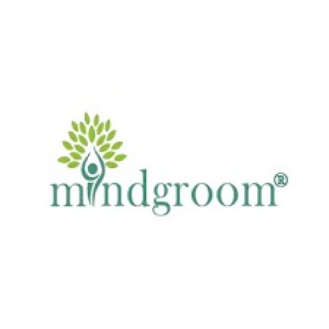 Mindgroom Career Counselling