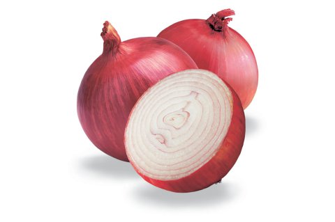 Onion Extract Manufacturers and Suppliers in India
