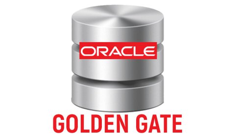 Oracle Golden Gate Online Coaching Classes In India, Hyderabad