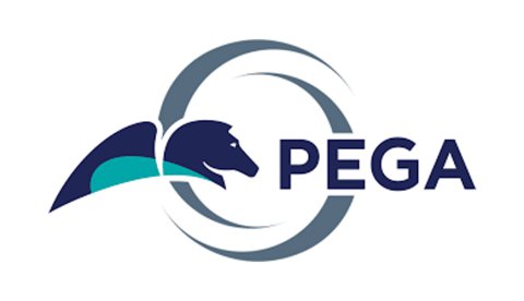 PEGA Course Online Training Classes from India ... 