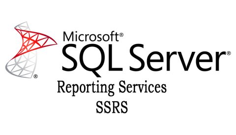 SSRS Online Training Realtime support from India