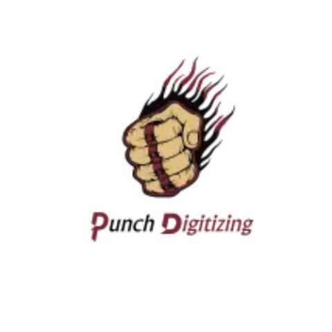 Punch Digitizing