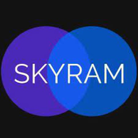 Skyram Technologies - Digital Marketing Consultant